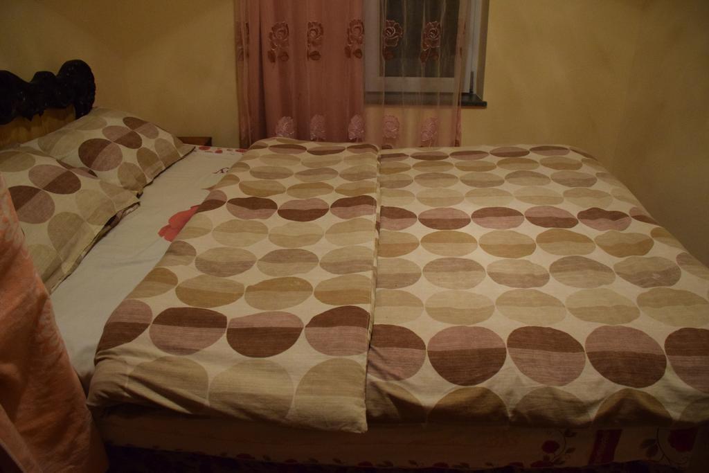 Medico And Suliko Guest House Kutaisi Esterno foto